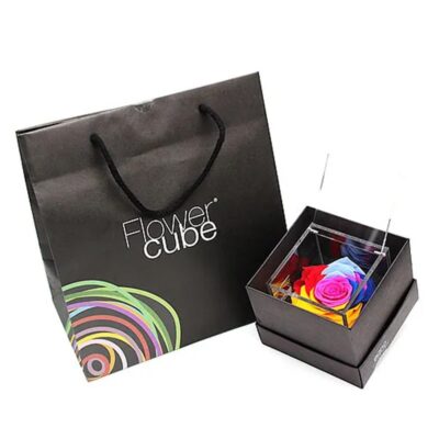 Flowercube Rosa Stabilizzata Rainbow Special Edition