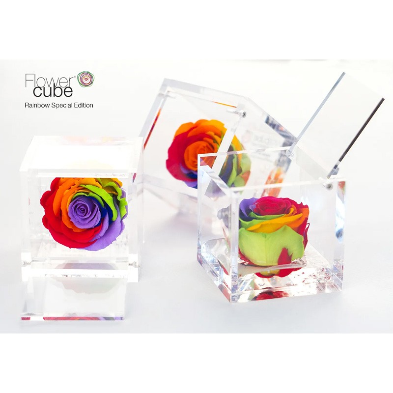 Flowercube Rosa Stabilizzata Rainbow Special Edition