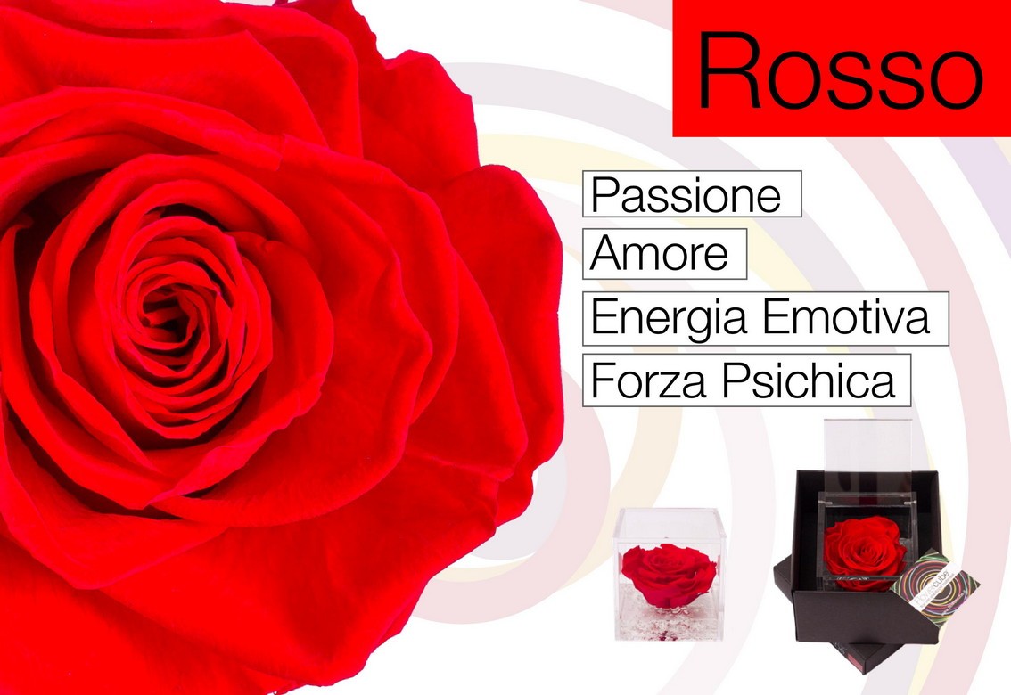 Flowercube Rosa Stabilizzata Rossa