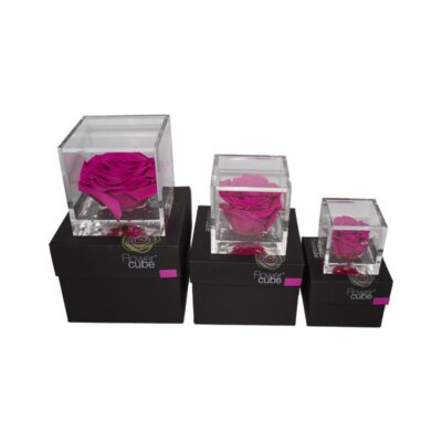 Flowercube Rosa Stabilizzata Fucsia Special Edition