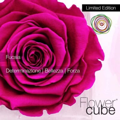 Flowercube Rosa Stabilizzata Fucsia Special Edition