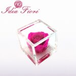 Flowercube Rosa Stabilizzata Fucsia Special Edition