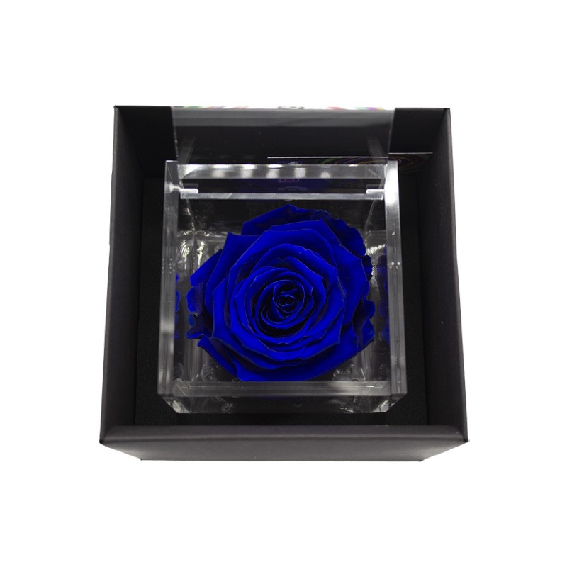 Flowercube Rosa Stabilizzata Blu