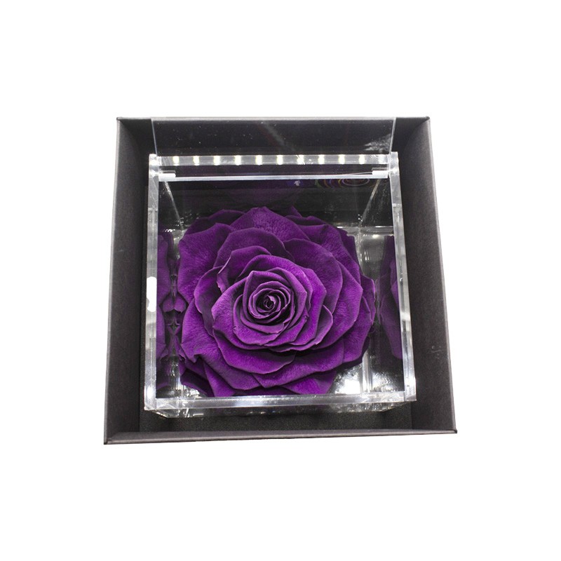 Flowercube Rosa Stabilizzata Viola
