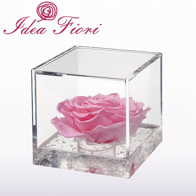 Flowercube Rosa Stabilizzata Rosa
