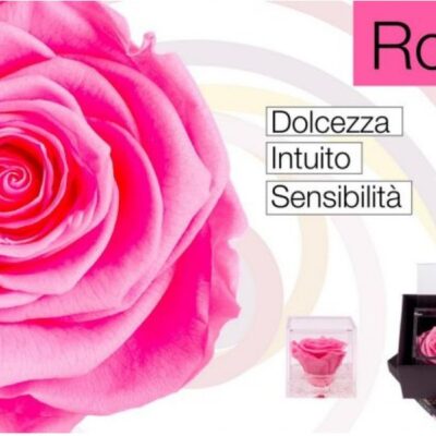 Flowercube Rosa Stabilizzata Rosa