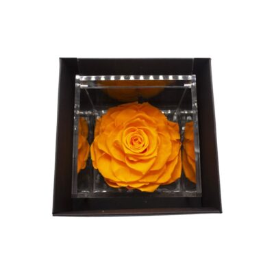 Flowercube Rosa Stabilizzata Arancio