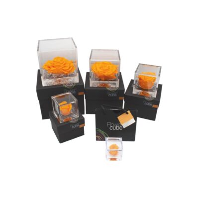 Flowercube Rosa Stabilizzata Arancio