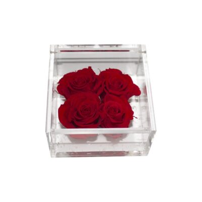 Flowercube Mattonella di 4 Rose Rosse 10X10X6
