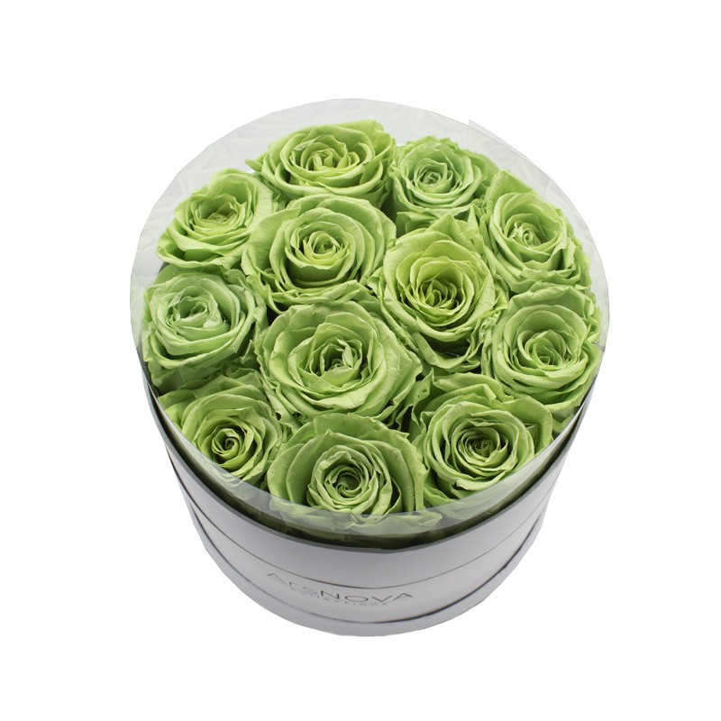 Ars Nova Box da 12 Rose Verdi Stabilizzate