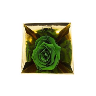 La Boite Rosa Stabilizzata Verde Scuro (Gucci)