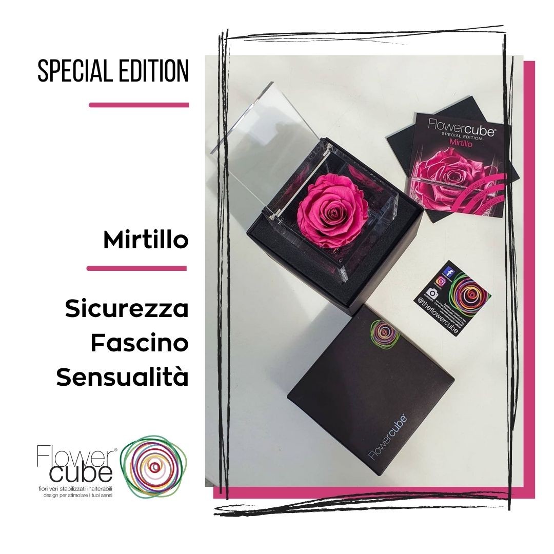 Flowercube Rosa Stabilizzata Mirtillo Special Edition