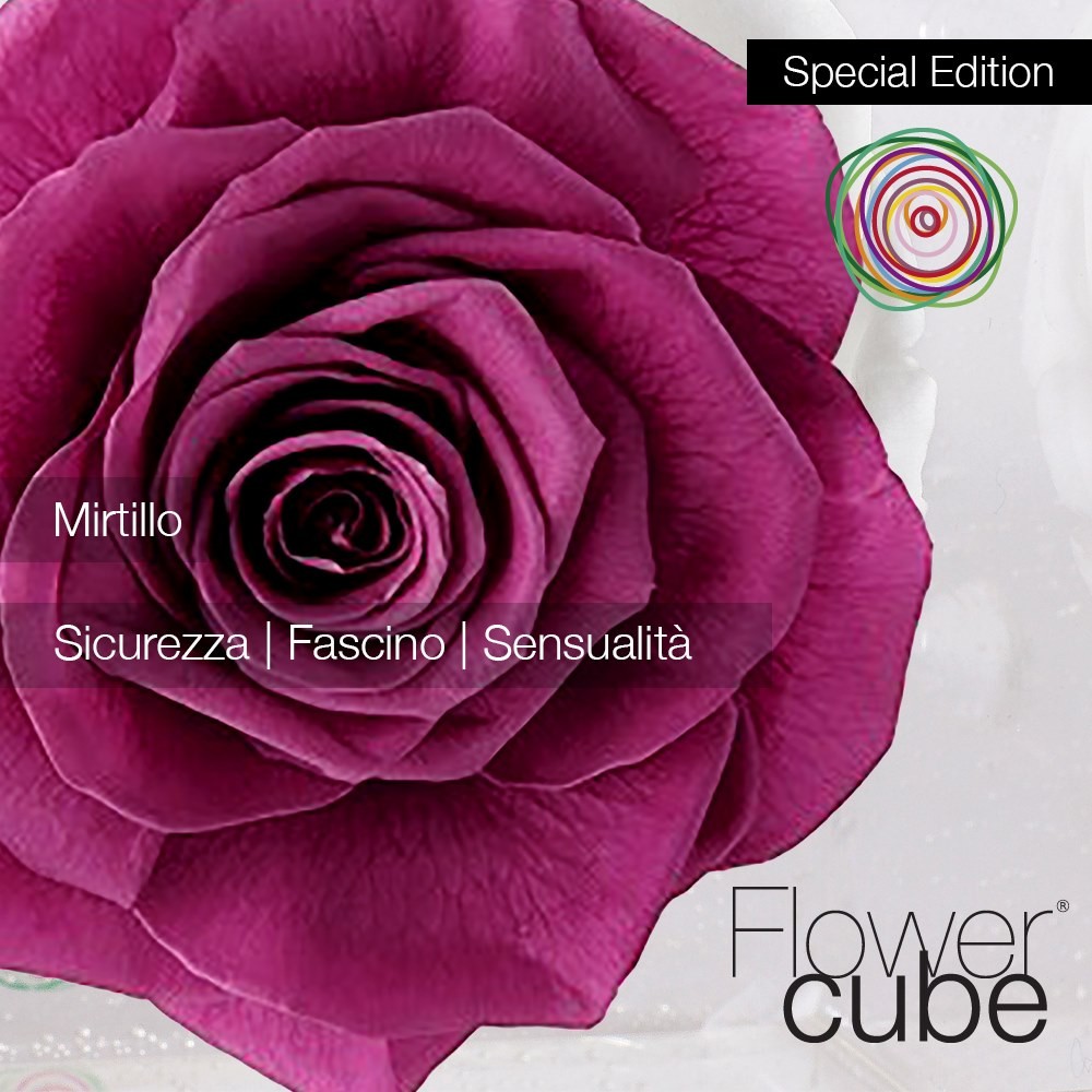 Flowercube Rosa Stabilizzata Mirtillo Special Edition