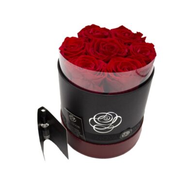 Ars Nova Box di Rose Stabilizzate Rosse Royal