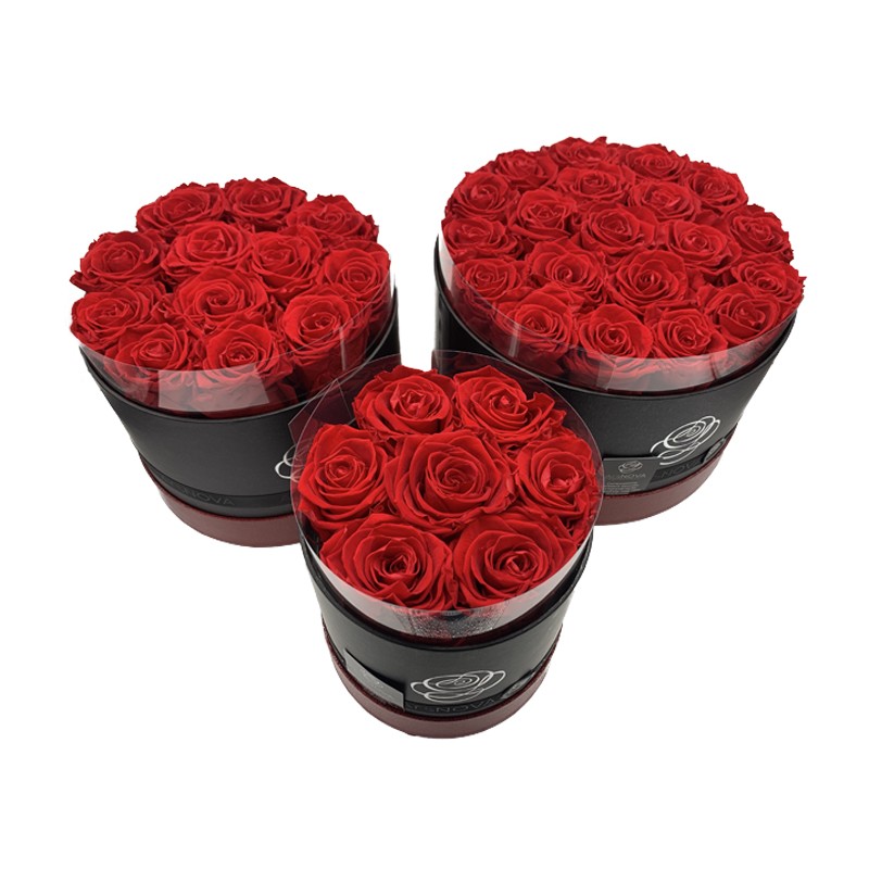 Ars Nova Box di Rose Stabilizzate Rosse Royal