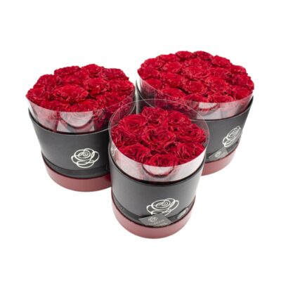 Ars Nova Box di Rose Stabilizzate Rosse Romantic