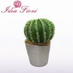 Pianta Grassa Cactus Con Vaso Argento