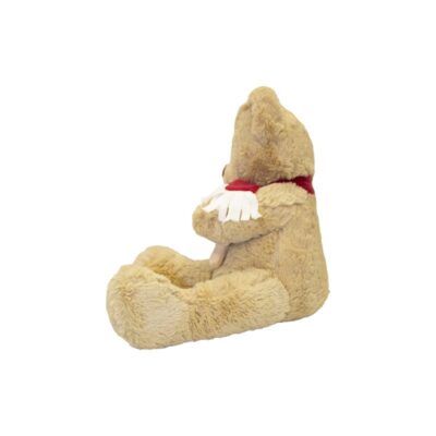 Dolce Peluche Orsetto Piccolo con Sciarpa Rossa