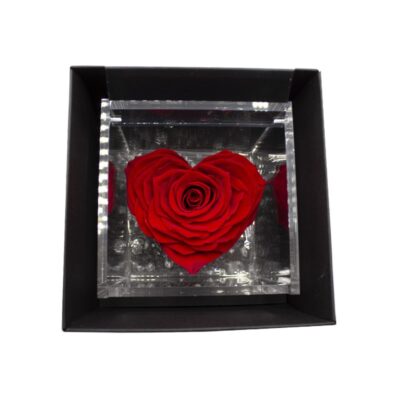 Flowercube Cuore di Rosa Rosso Special Edition