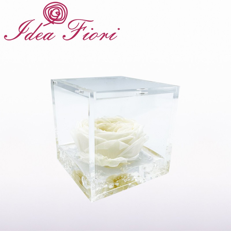 Flowercube Rosa Inglese Stabilizzata Bianca Special Edition