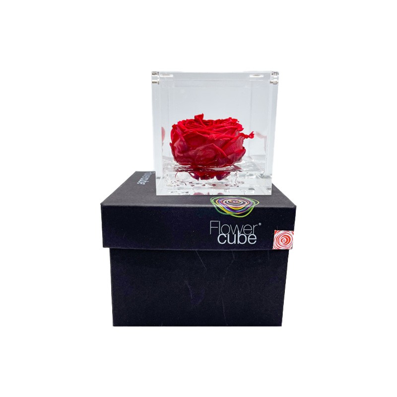 Flowercube Rosa Inglese Stabilizzata Rossa Special Edition