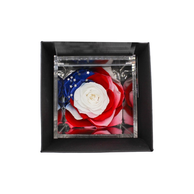 Flowercube Rosa Stabilizzata Bandiera America Limited Edition