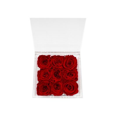 Flowercube Mattonella di 9 Rose Rosse 15X15X8