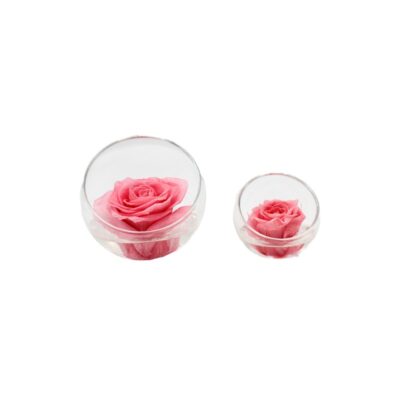 Ars Nova Rosa Stabilizzata Rosa in Vaso Sferico