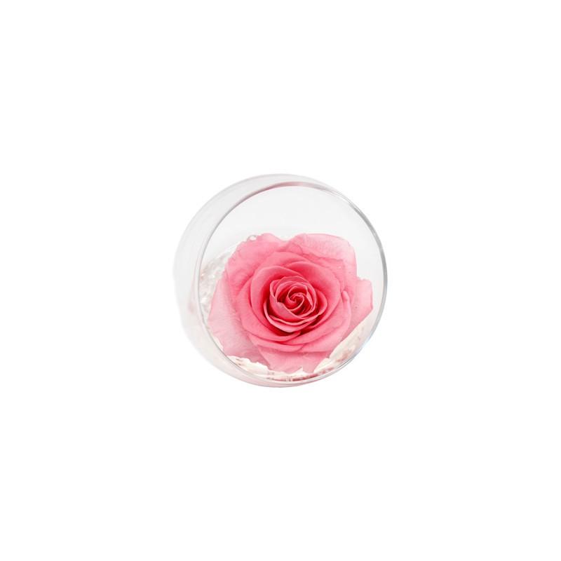 Ars Nova Rosa Stabilizzata Rosa in Vaso Sferico
