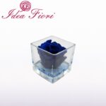 Ars Nova Rosa Stabilizzata Blu con Fondo Blu in Vaso Quadrato