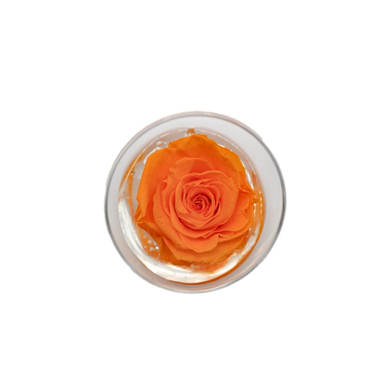 Ars Nova Rosa Stabilizzata Arancio in Vaso Sferico