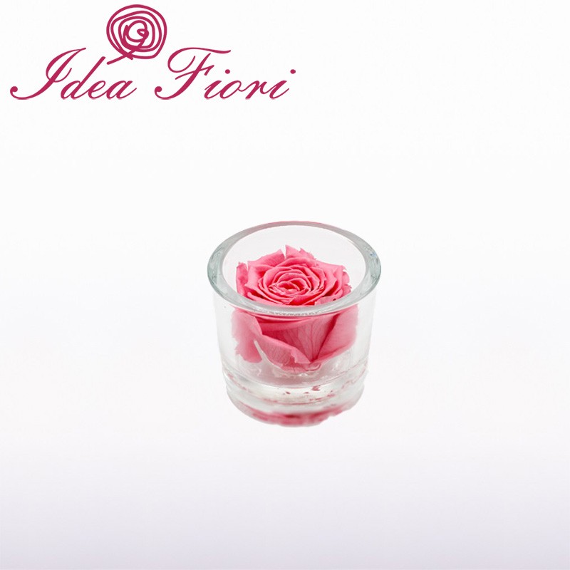 Ars Nova Rosa Stabilizzata Rosa in Vaso Cilindrico