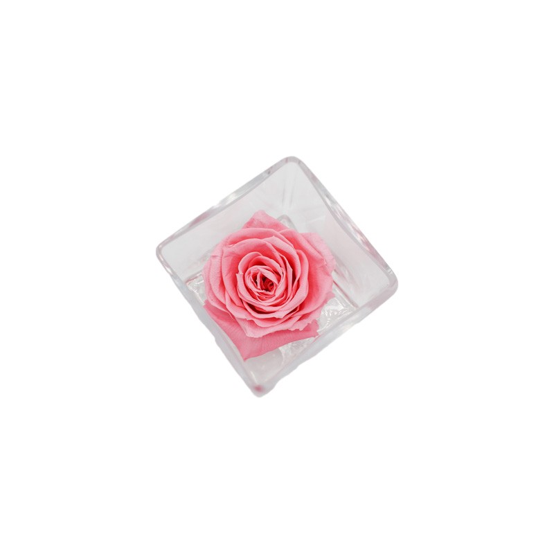 Ars Nova Rosa Stabilizzata Rosa in Vaso Quadrato