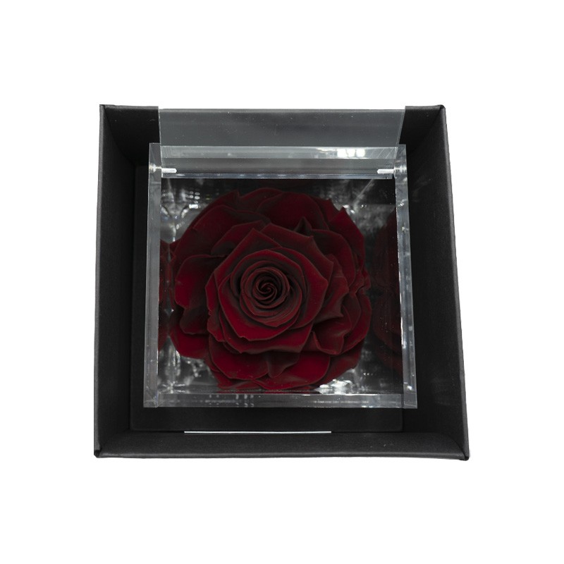 Flowercube Rosa Stabilizzata Bordeaux Special Edition