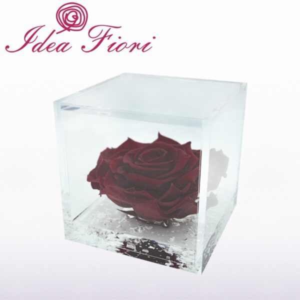 Rosa Stabilizzata Flowercube Bordeaux Special Edition Ideafiori ars nova FC-080R5