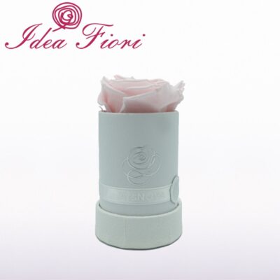 Ars Nova Rosa Stabilizzata Rosa + Profumo