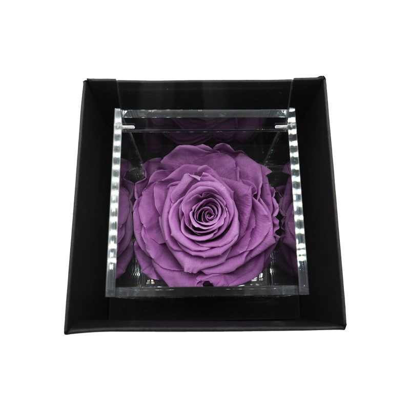 Flowercube Rosa Stabilizzata Lilla Special Edition