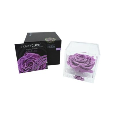 Flowercube Rosa Stabilizzata Lilla Special Edition