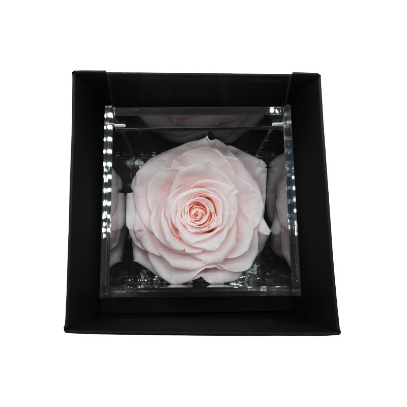 Flowercube Rosa Stabilizzata Rosa Pastello Special Edition