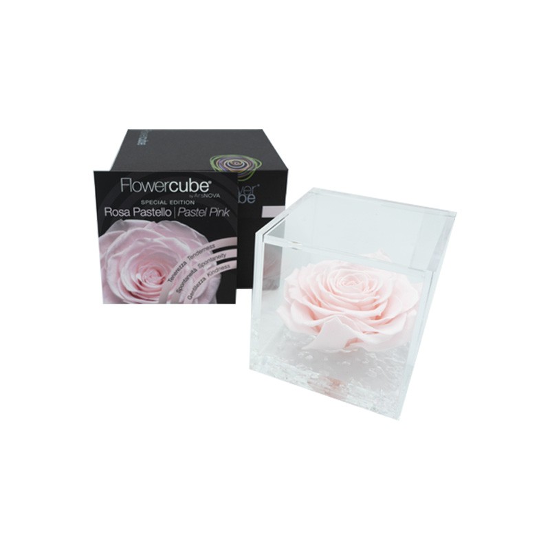 Flowercube Rosa Stabilizzata Rosa Pastello Special Edition