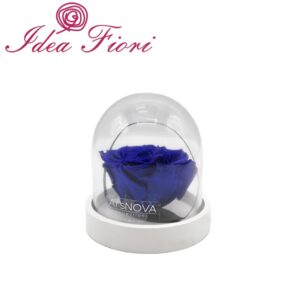 Ars Nova Rosa Incantata Blu Senza Stelo