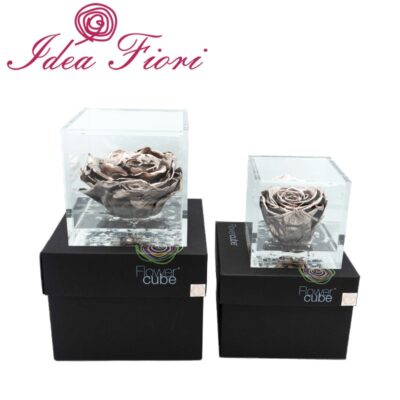 Flowercube Rosa Stabilizzata Oro Rosa