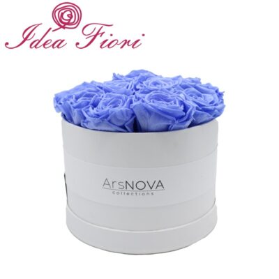Ars Nova Box da 12 Rose Blu Glicine Stabilizzate