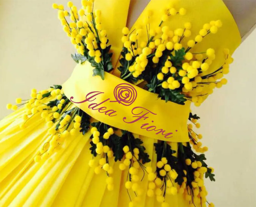 fiore simbolo festa della donna: Mimosa. Idea Fiori