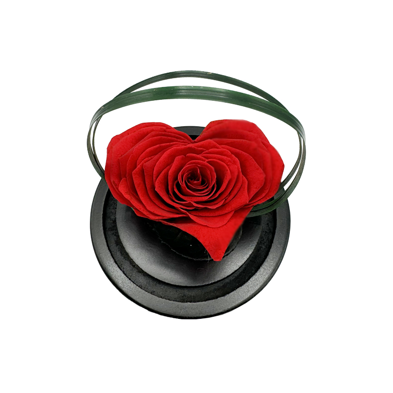 Rosa Stabilizzata cuore rosso ars nova in cupola rosa incantata 4