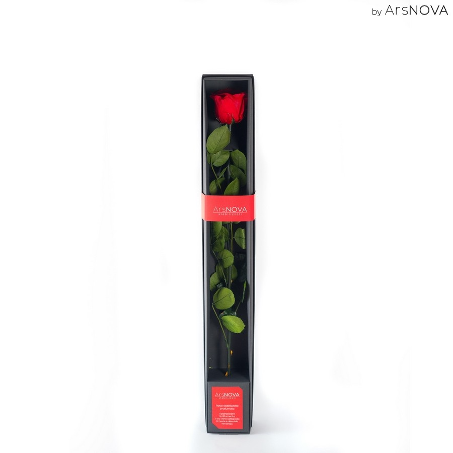 Rosa Stabilizzata rossa con stelo ars nova flowercube ideafiori GIRB50-50R