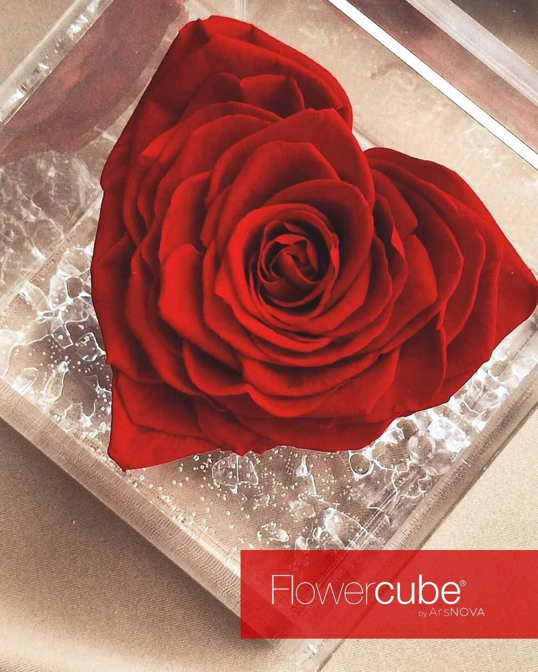 Set Regalo San Valentino rosa rossa stabilizzata cuore più lampada led per rose stabilizzate flowercube Ideafiori 3