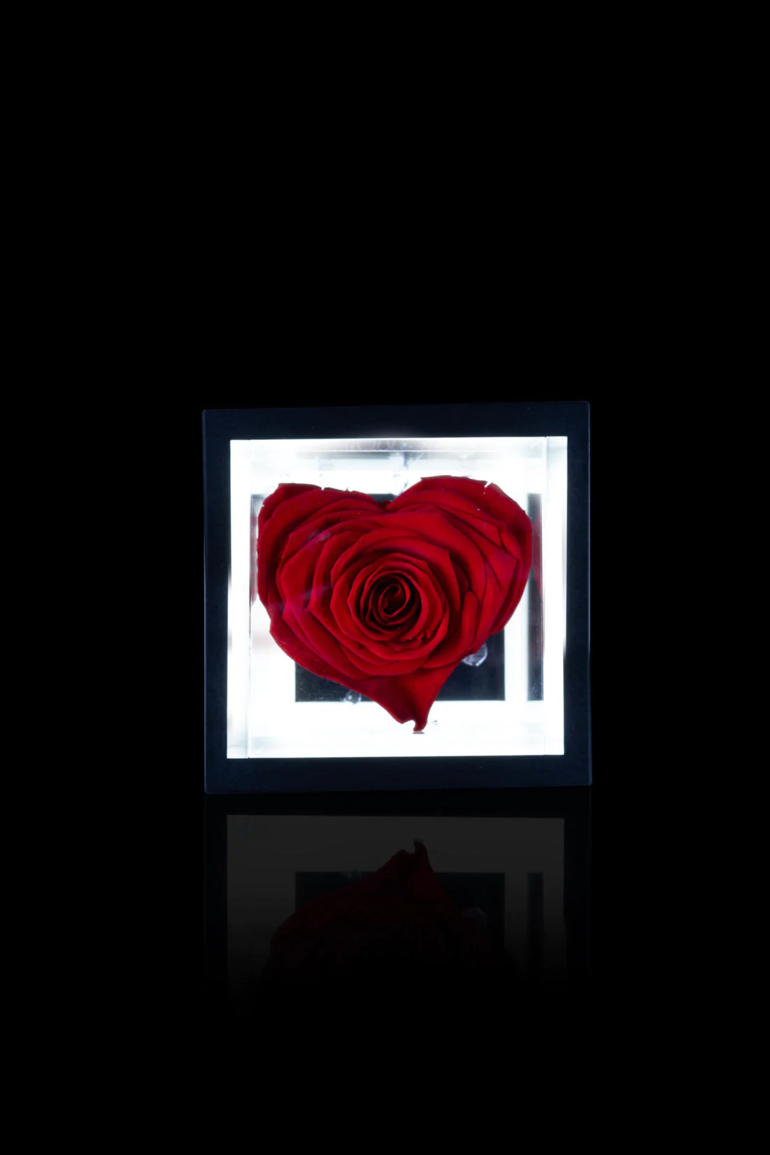 Set Regalo San Valentino rosa rossa stabilizzata cuore più lampada led per rose stabilizzate flowercube Ideafiori