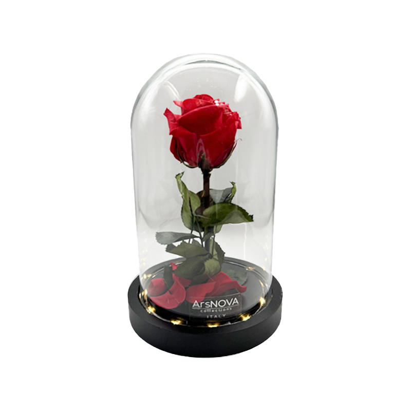rosa stabilizzata rossa con led regalo per san valentino ideafiori