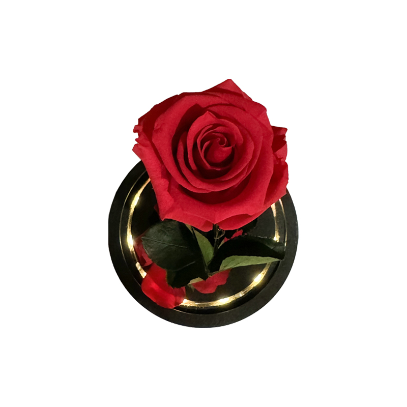 rosa stabilizzata rossa con led regalo per san valentino ideafiori 3
